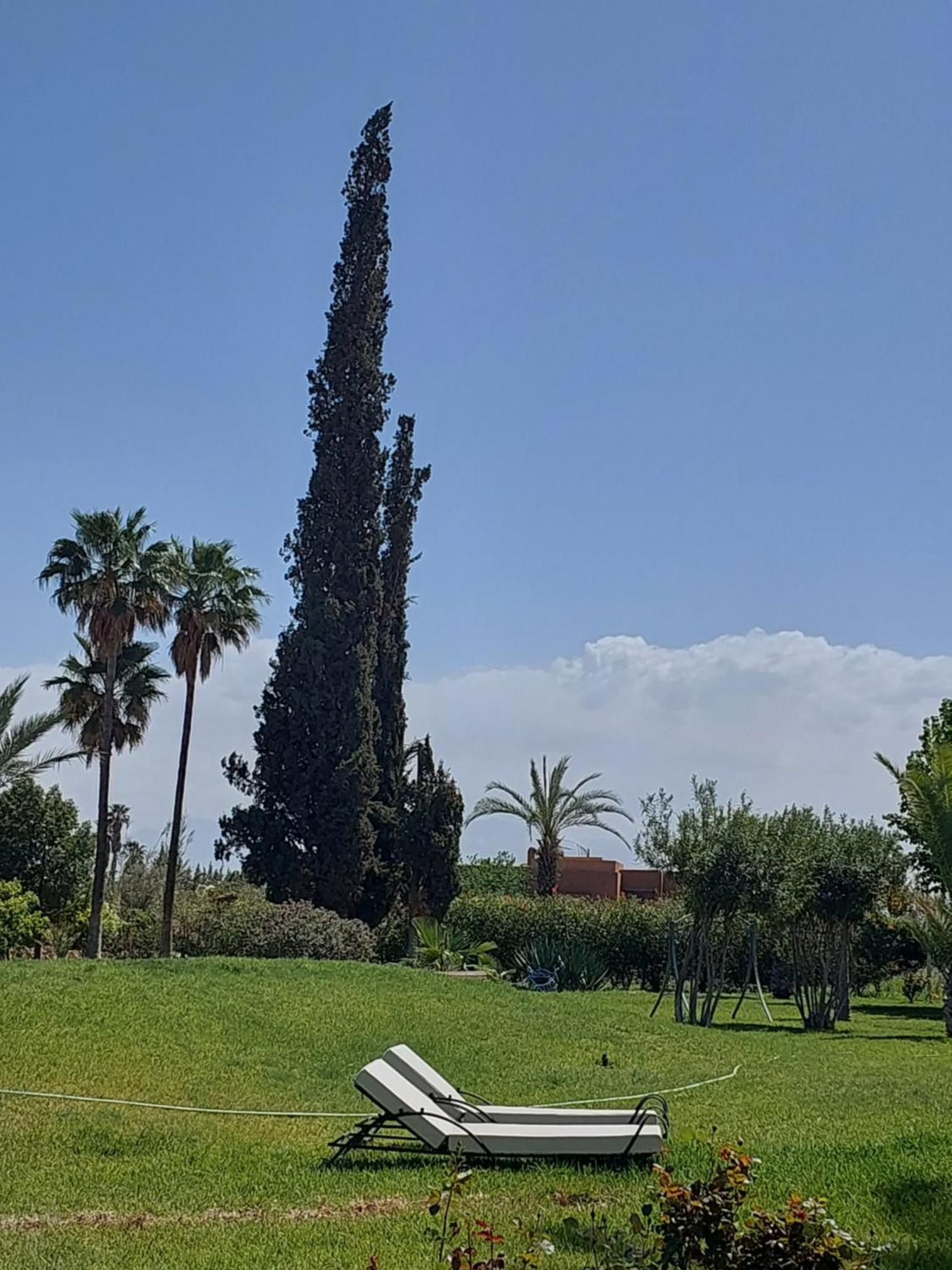 Palais Les Sources De L'Atlas & Spa El Harkat Buitenkant foto